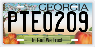 GA license plate PTE0209