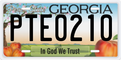 GA license plate PTE0210