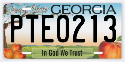 GA license plate PTE0213