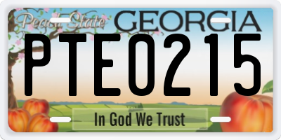 GA license plate PTE0215