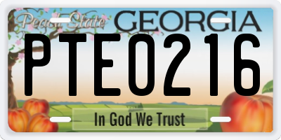 GA license plate PTE0216