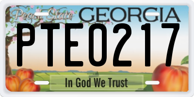 GA license plate PTE0217