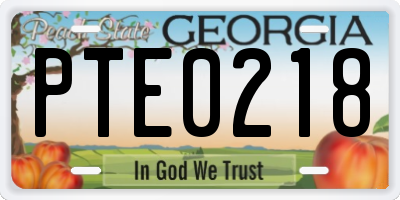 GA license plate PTE0218