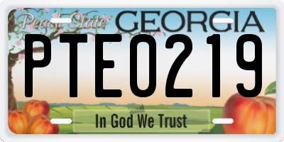 GA license plate PTE0219