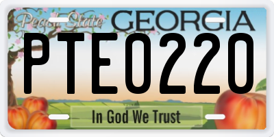 GA license plate PTE0220