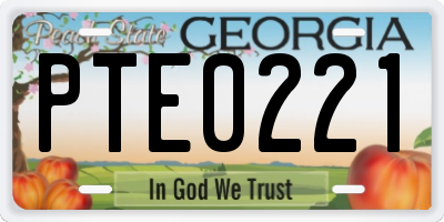 GA license plate PTE0221