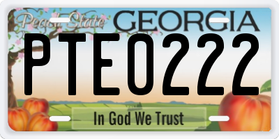 GA license plate PTE0222