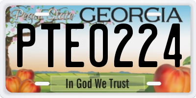 GA license plate PTE0224