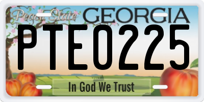 GA license plate PTE0225