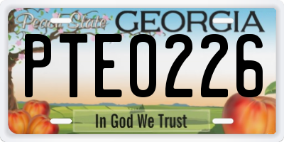 GA license plate PTE0226