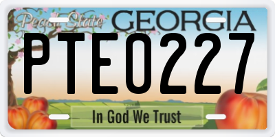 GA license plate PTE0227