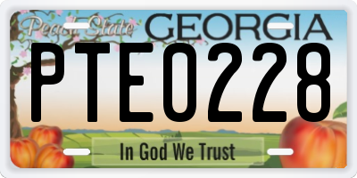GA license plate PTE0228