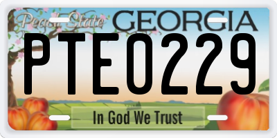 GA license plate PTE0229