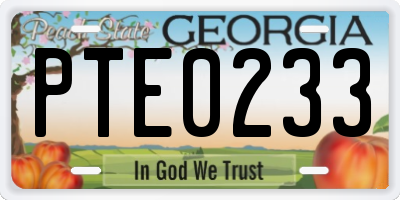 GA license plate PTE0233