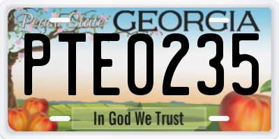 GA license plate PTE0235