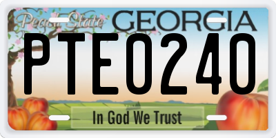 GA license plate PTE0240