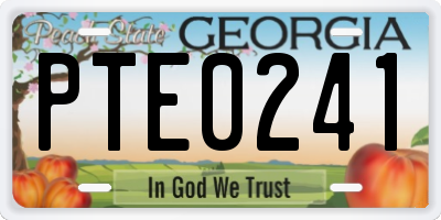 GA license plate PTE0241