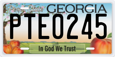 GA license plate PTE0245