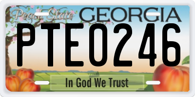 GA license plate PTE0246