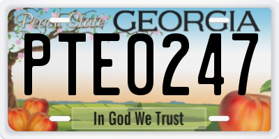 GA license plate PTE0247