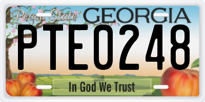 GA license plate PTE0248