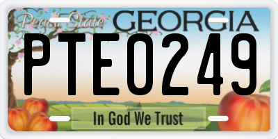 GA license plate PTE0249