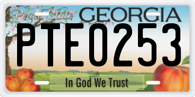 GA license plate PTE0253