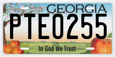 GA license plate PTE0255