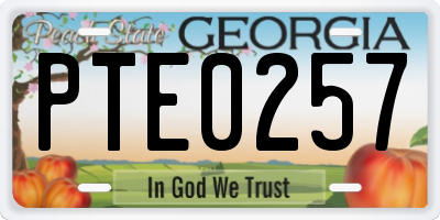 GA license plate PTE0257