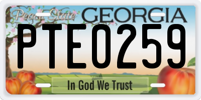 GA license plate PTE0259