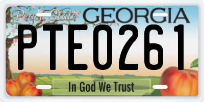 GA license plate PTE0261