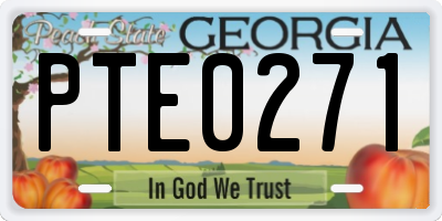 GA license plate PTE0271
