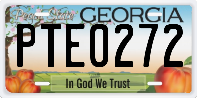 GA license plate PTE0272