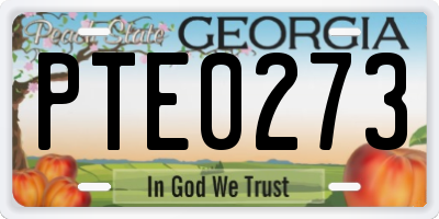 GA license plate PTE0273