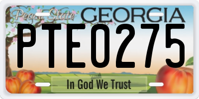 GA license plate PTE0275