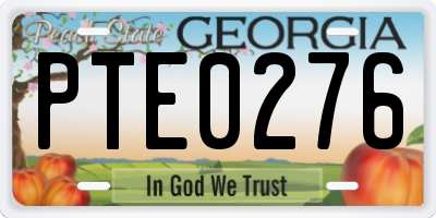 GA license plate PTE0276