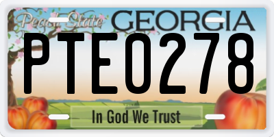 GA license plate PTE0278