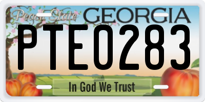 GA license plate PTE0283