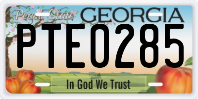 GA license plate PTE0285