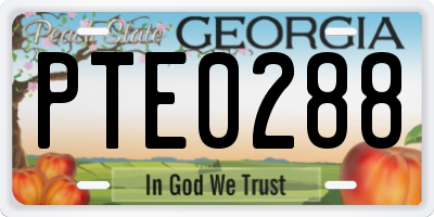 GA license plate PTE0288
