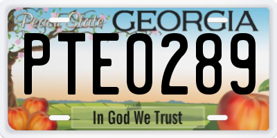GA license plate PTE0289