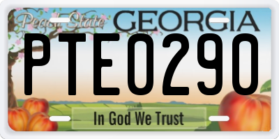 GA license plate PTE0290