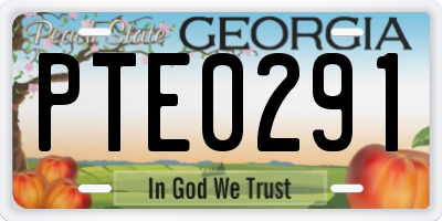 GA license plate PTE0291