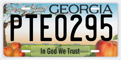 GA license plate PTE0295