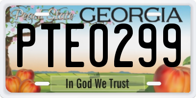 GA license plate PTE0299