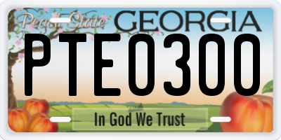 GA license plate PTE0300