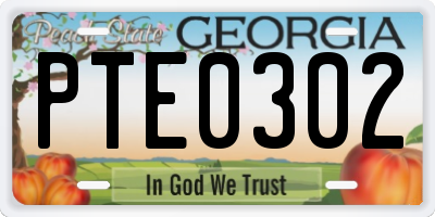 GA license plate PTE0302