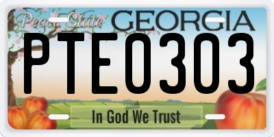 GA license plate PTE0303