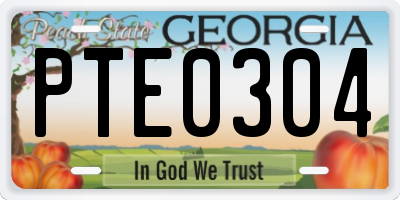 GA license plate PTE0304