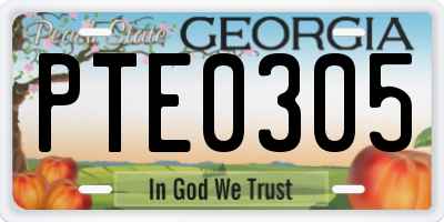GA license plate PTE0305
